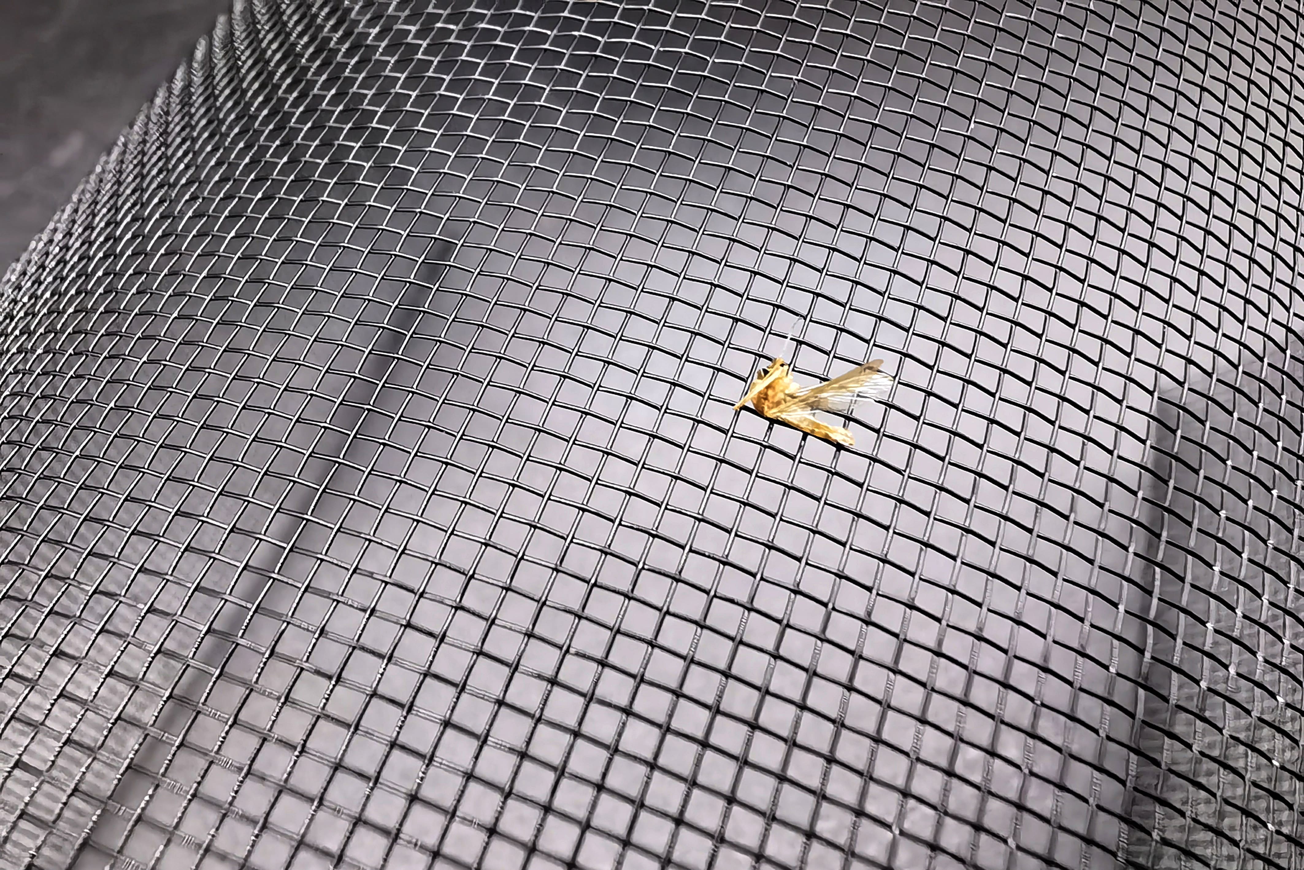 卷簾專用紗網(wǎng)